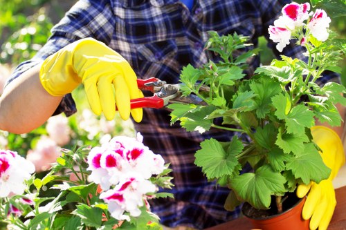 Tree surgeon payment security interface with secure checkout elements