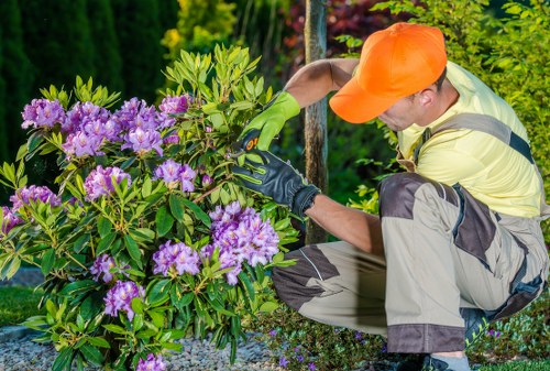 Accepted payment methods displayed for Tree Surgeons Lambeth