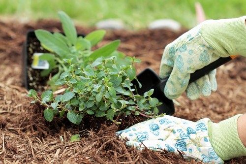 Closing a tree surgery complaint case