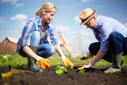 Waste handling and tree surgery site management